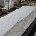 Covering the cold frame with fleece