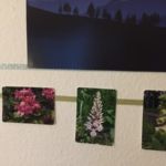 2 150x150 - Metal tape for hanging photos